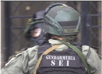Grillo